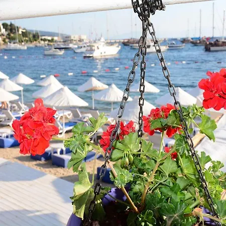 Гостевой дом Angora 3*