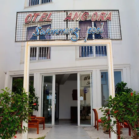 招待所 Angora 博德鲁姆